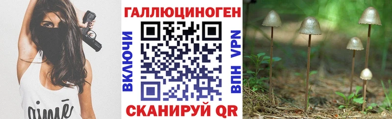 Галлюциногенные грибы Psilocybine cubensis  Октябрьск 